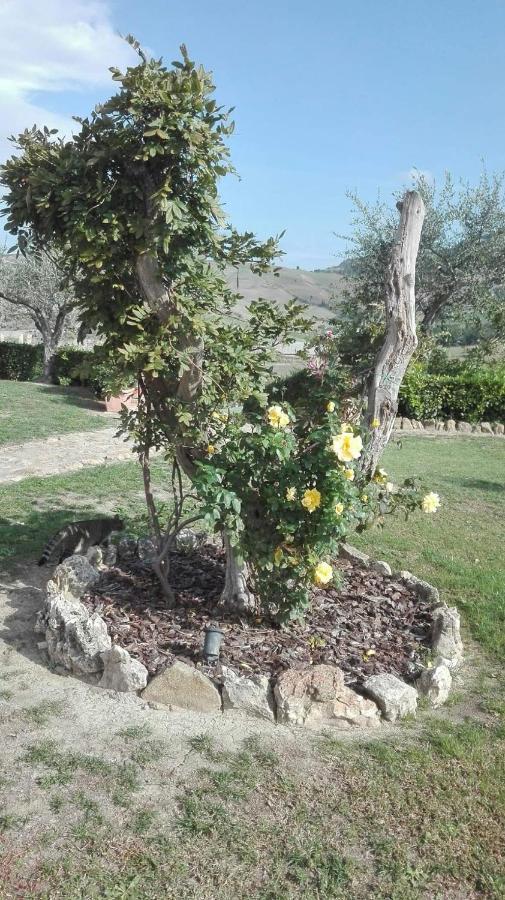 Agriturismo Casa Al Povero Volterra Kültér fotó